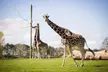 Private Full Day Tour to Longleat Safari Park and Historic Bath - Image 4
