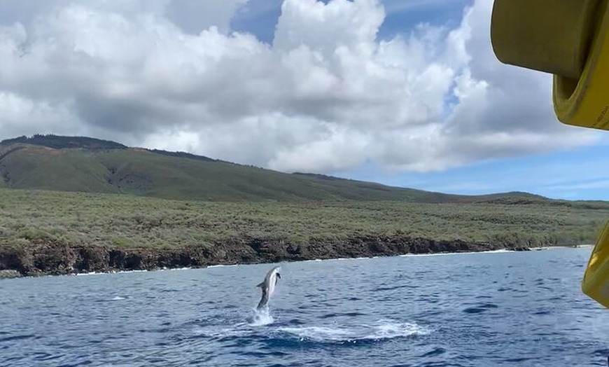 Image 27: Maui to Lanai Semi-Private Eco Raft Snorkel and/or Dolphin Tour