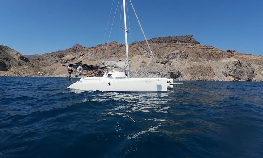 Image 16: Excursiones ecológicas en Catamarán en Gran Canaria