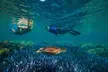 Quicksilver Great Barrier Reef Snorkel Cruise from Port Douglas - Image 2