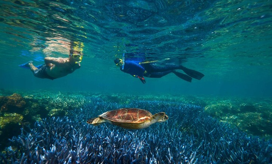 Image 2: Quicksilver Great Barrier Reef Snorkel Cruise from Port Douglas
