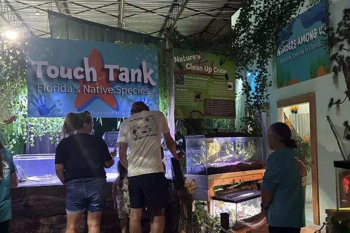 3 Hour Manatee Swim - Small Group w/complimentary photos!