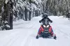 Mt Hood National Forest - 90 Minute Snowmobile Adventure