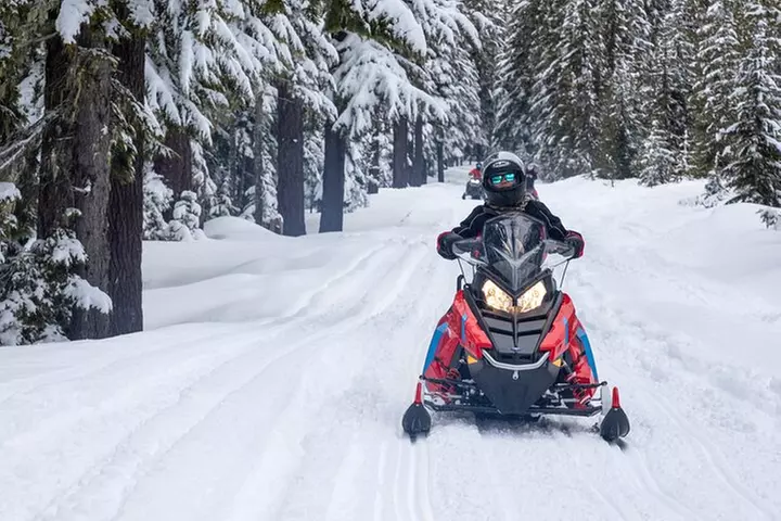 Mt Hood National Forest - 90 Minute Snowmobile Adventure - Primary Image