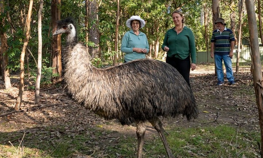 Image 8: Tour from Eden to Merimbula Wetlands Wildlife and Coastline