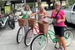 Single Speed Cruiser Rental for Downtown Charleston - Second Medium