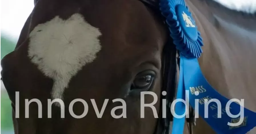 Innova Riding Stables in Gilbertsville | Groupon
