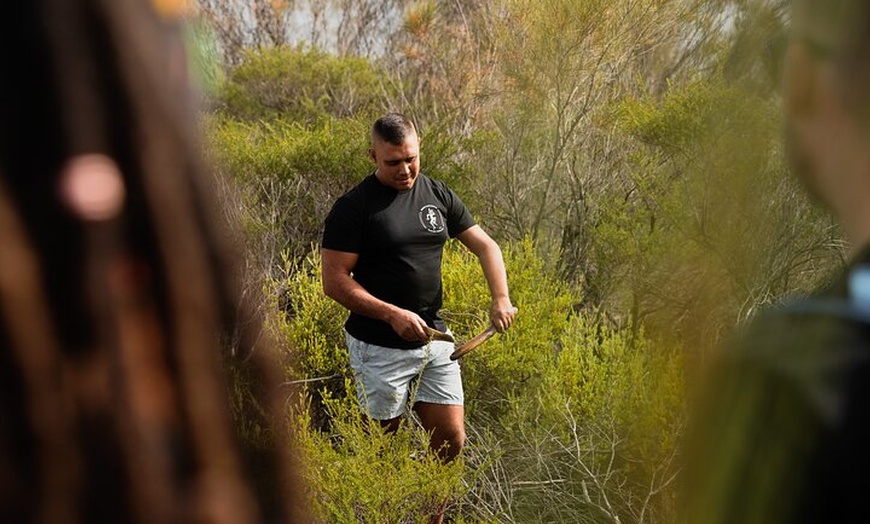 Image 2: Sydney Aboriginal Walking Tour with Welcome Smoking Ceremony
