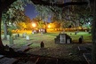 Fraidy Cat: The Family Fun Ghost Tour of Savannah - Second Medium