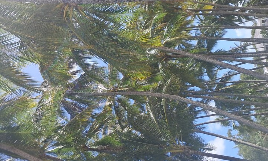 Image 7: Cairns City Half Day Tour