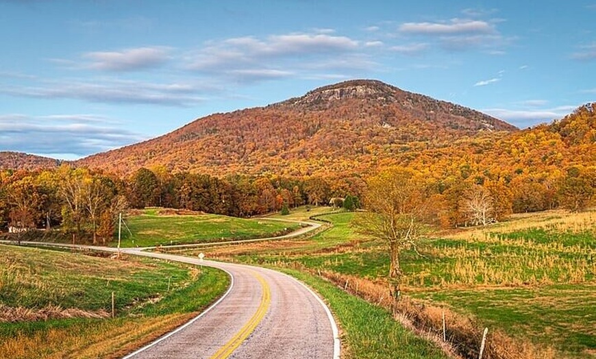 Image 9: Full Day Tour from Atlanta to Amicalola Falls and Blue Ridge