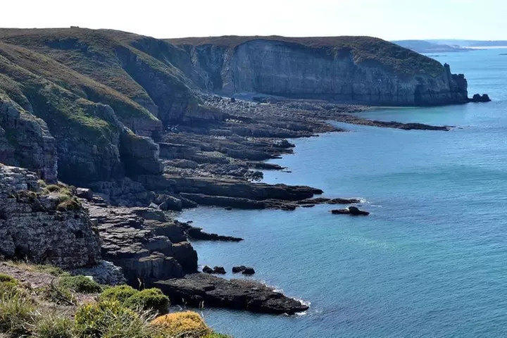 Excursion d'une journée à Étretat et Honfleur au départ de Paris Pe...