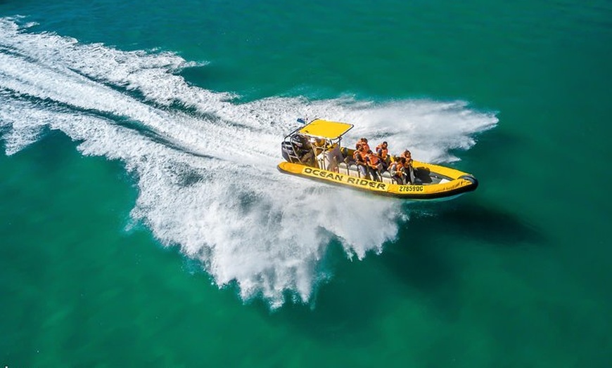 Image 4: Noosa Oceanrider - Ocean Adventure & Noosa National Park tour