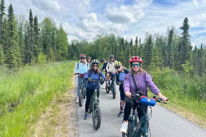 eBike Art and Trails Guided Tour of Anchorage - Primary Image