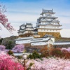 Image 7: ✈ JAPAN | From Osaka to Tokyo - The Japanese Odyssey: A Grand Explo...