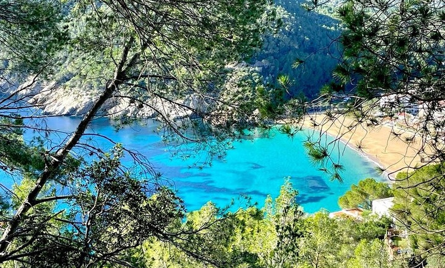 Image 7: Excursiones y retiros personalizados en Ibiza