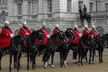 Royal London Changing of the Guard And Palace Tour - Image 6