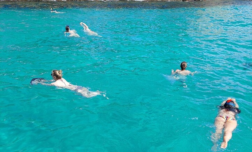 Image 39: Catamarán Mallorca Eco Experience