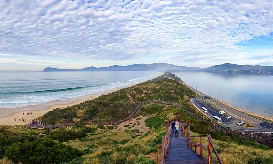 Image 6: Bruny Island Food, Sightseeing, Guided Lighthouse Tour & Lunch