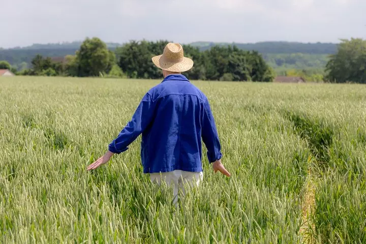 Visite immersive Van Gogh unique à Auvers sur Oise - 1,5 heure - Primary Image