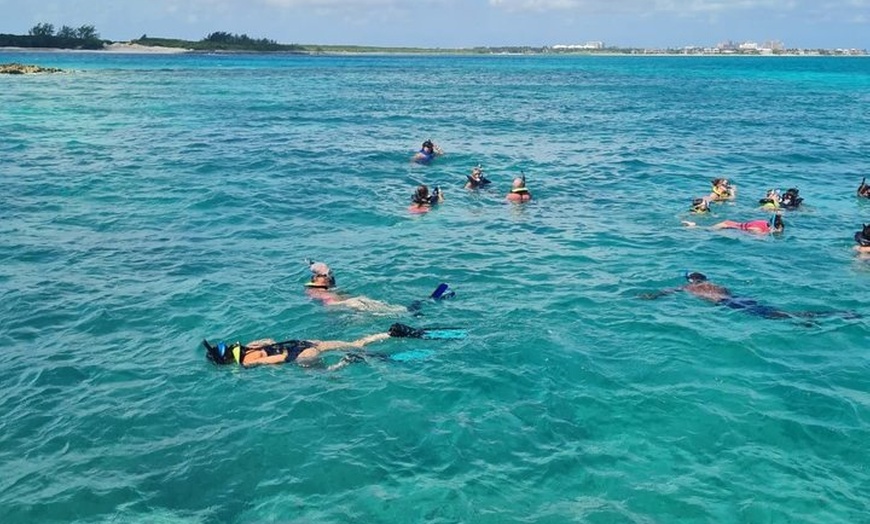 Image 11: Rose Island Snorkeling, Beach Day with Unlimited Rum Punch