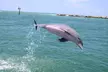 Experience Parasailing in Sarasota - Second Medium