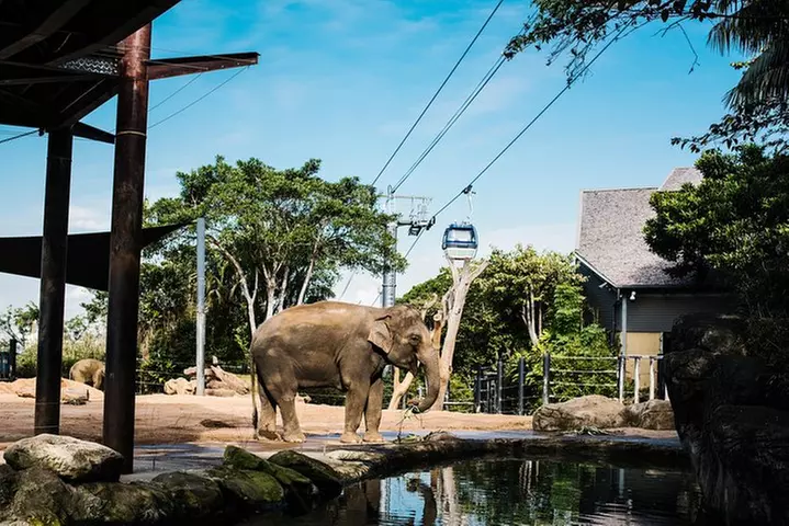 Sydney Taronga Zoo Wild Australia Experience