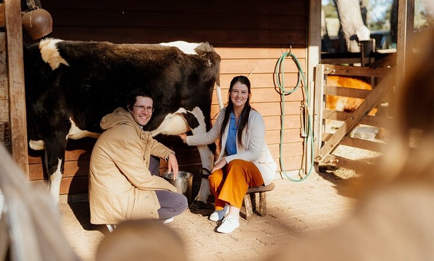 Image 2: Phillip Island and Penguin Parade Private Tour