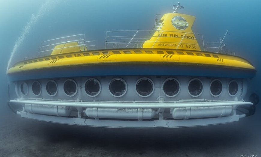 Image 6: Tour submarino Tenerife: una experiencia submarina de 1 hora