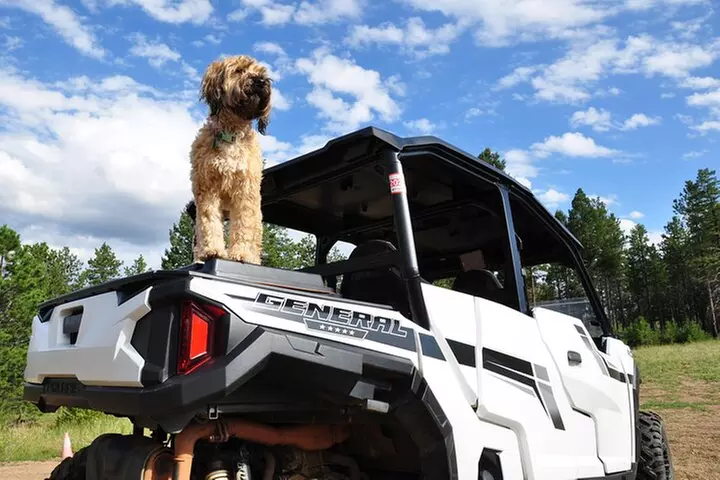 2 Hour Guided UTV Tour in Woodland Park
