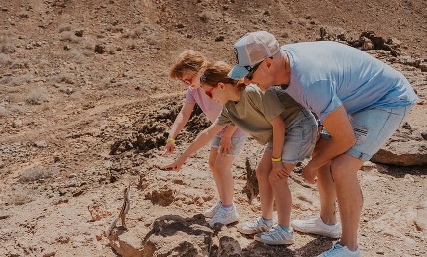Image 42: Fuerteventura Norte - Excursión de 4 horas con salida desde Corralejo