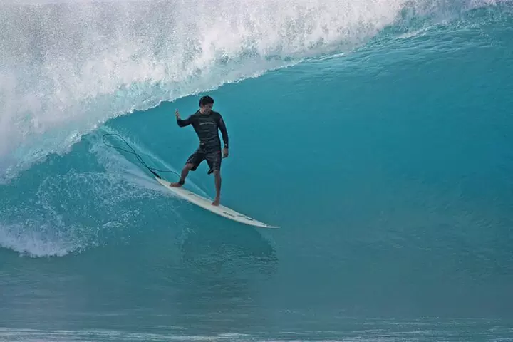 Shark Cage Diving On "The World Famous North Shore of Oahu", Hawaii
