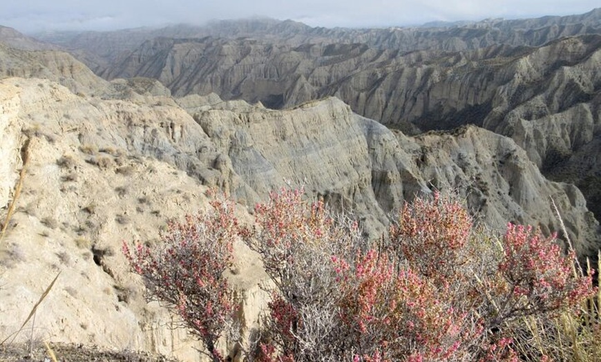 Image 2: Viaje a través de las tierras malas del desierto de Gorafe