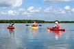 Kayak Dolphin Eco Tour - Second Medium