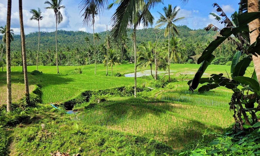 Image 7: ✈ PHILIPPINES | Cebu - Dans l'archipel des Visayas en liberté - Cir...