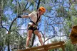 Take the Challenge and Conquer the Salisbury Treetops - Image 2