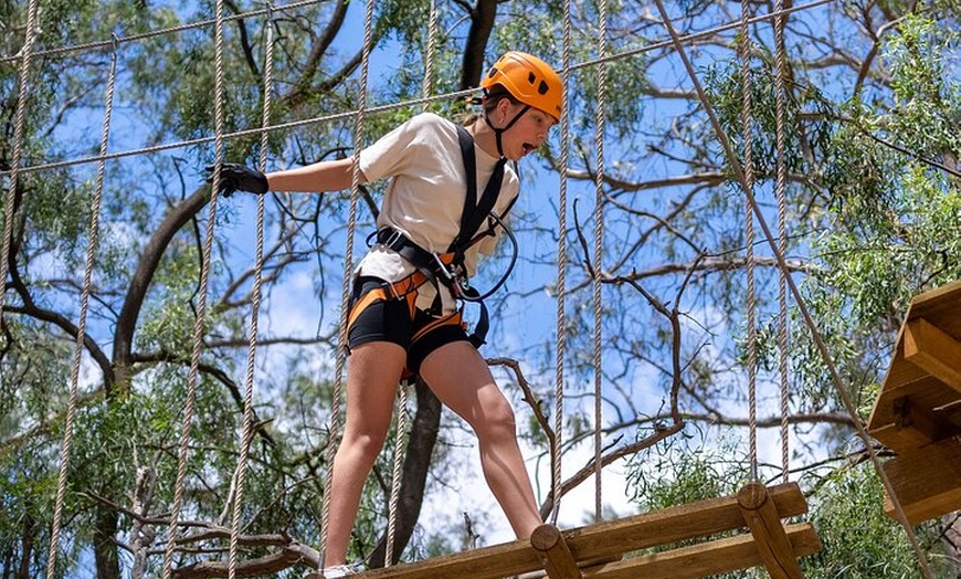 Image 2: Take the Challenge and Conquer the Salisbury Treetops