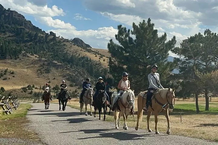 Blue Flower Trail Ride