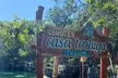 Mother Nature Tour, Turtle House and Tulum All Inclusive - Second Medium