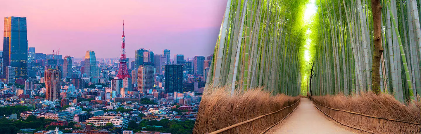 ✈ JAPAN | Von Osaka nach Tokio - Schätze Japans 3*, 12 Nächte - Rundreise - Primary Image