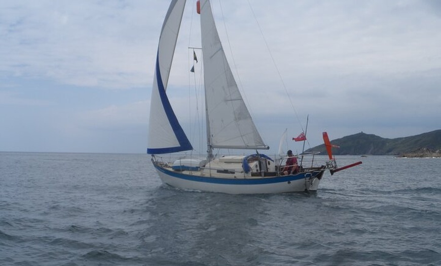 Image 2: Private Boat Tour from Helford River