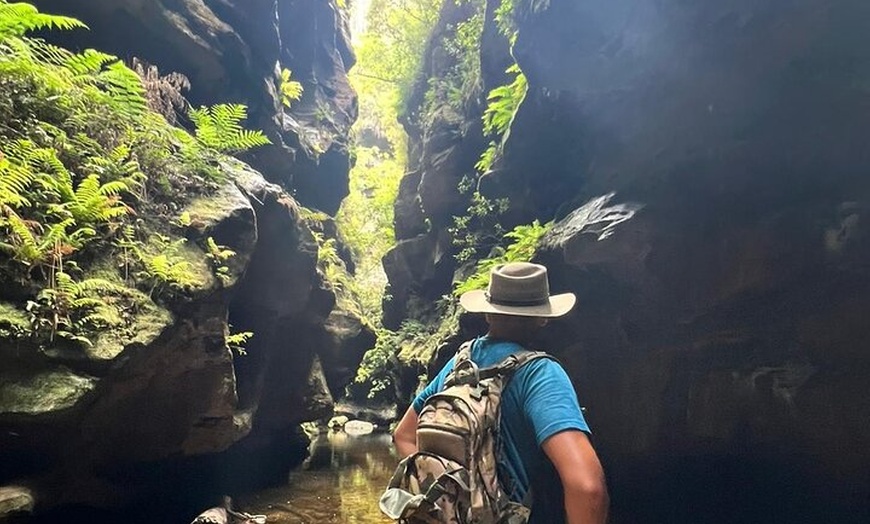 Image 6: Blue Mountains Grand Canyon Private Hike - pick up & drop off