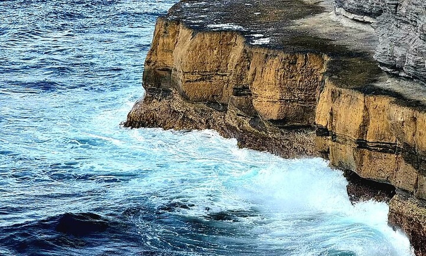 Image 8: Full-Day Guided Port Arthur Day Tour & Tessellated Pavement