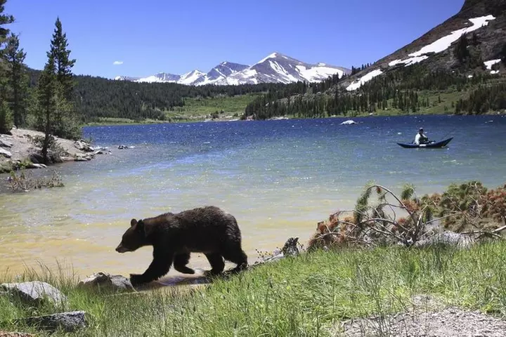 Small Group Yosemite and Giant Sequoias Day Trip from San Francisco