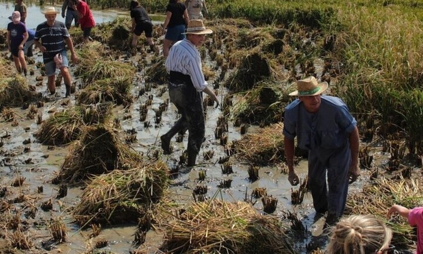 Image 9: Inmersión Holística en la Reserva de la Biosfera de les Terres de l...