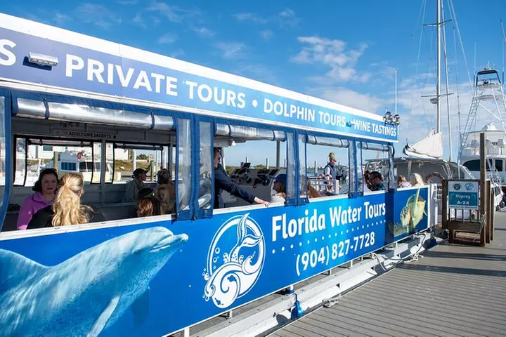 Dolphin and Wildlife Adventure of St. Augustine