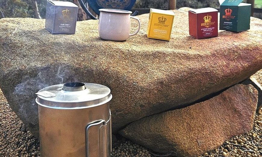 Image 9: Australian Animal Night Safari