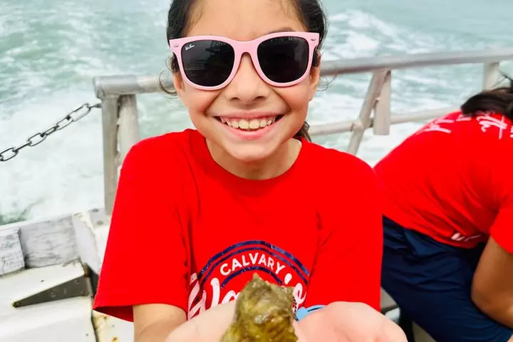 Eco Tour and Dolphin Watch