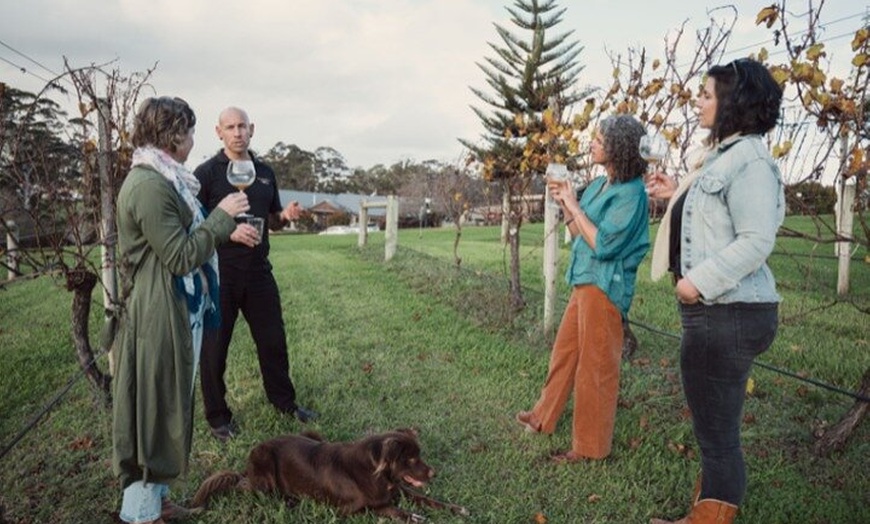 Image 3: Cool Climate Chardonnay Masterclass in Denmark Australia
