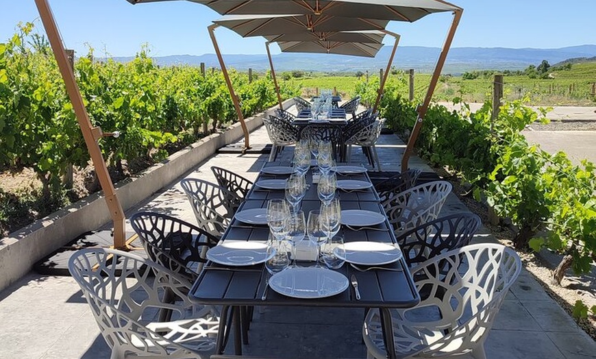 Image 18: Rioja Alavesa: Auténticas experiencias de vino